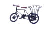 Wooden Rickshaw Flower